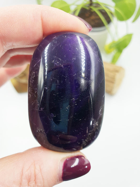 Amethyst Palm