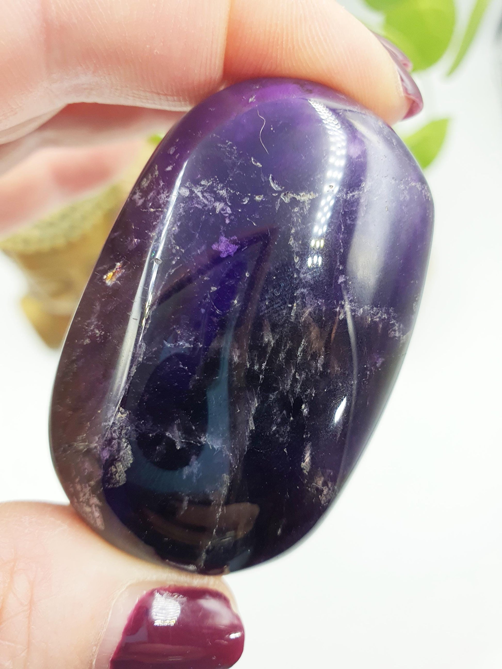 Amethyst Palm