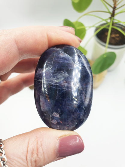 Stunning Flashy Sparkly Iolite Palm / Iolite Palm Stone / Rare Crystal Palm / Meditation Palm / Collectors Palm - 55g