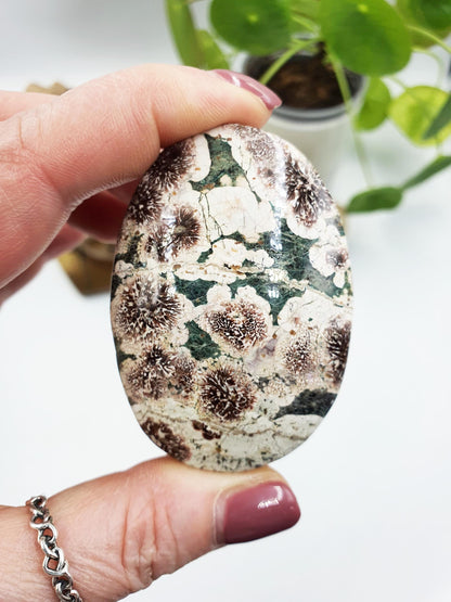 Large Firework (Flower) Agate Palm / Green Flower Agate Palm Stone / Meditation Palm / Reiki Crystal / Pocket Crystal - 95g