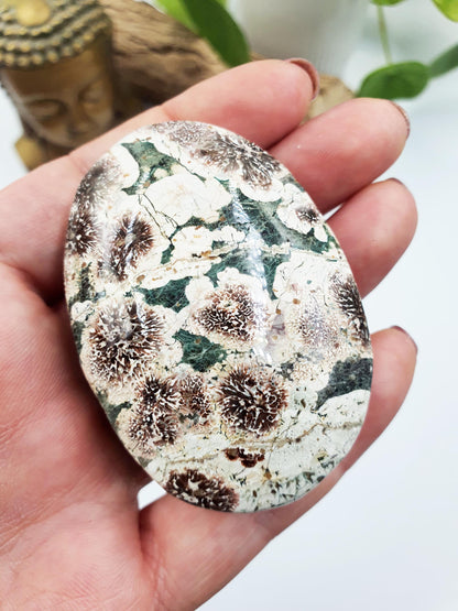 Large Firework (Flower) Agate Palm / Green Flower Agate Palm Stone / Meditation Palm / Reiki Crystal / Pocket Crystal - 95g