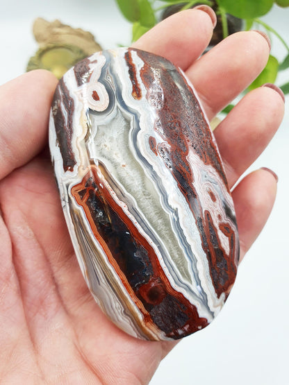 Large Beautiful Mexican Agate Palm / Crazy Lace Agate Palm Stone / Agate Palm / Meditation Palm - 140g