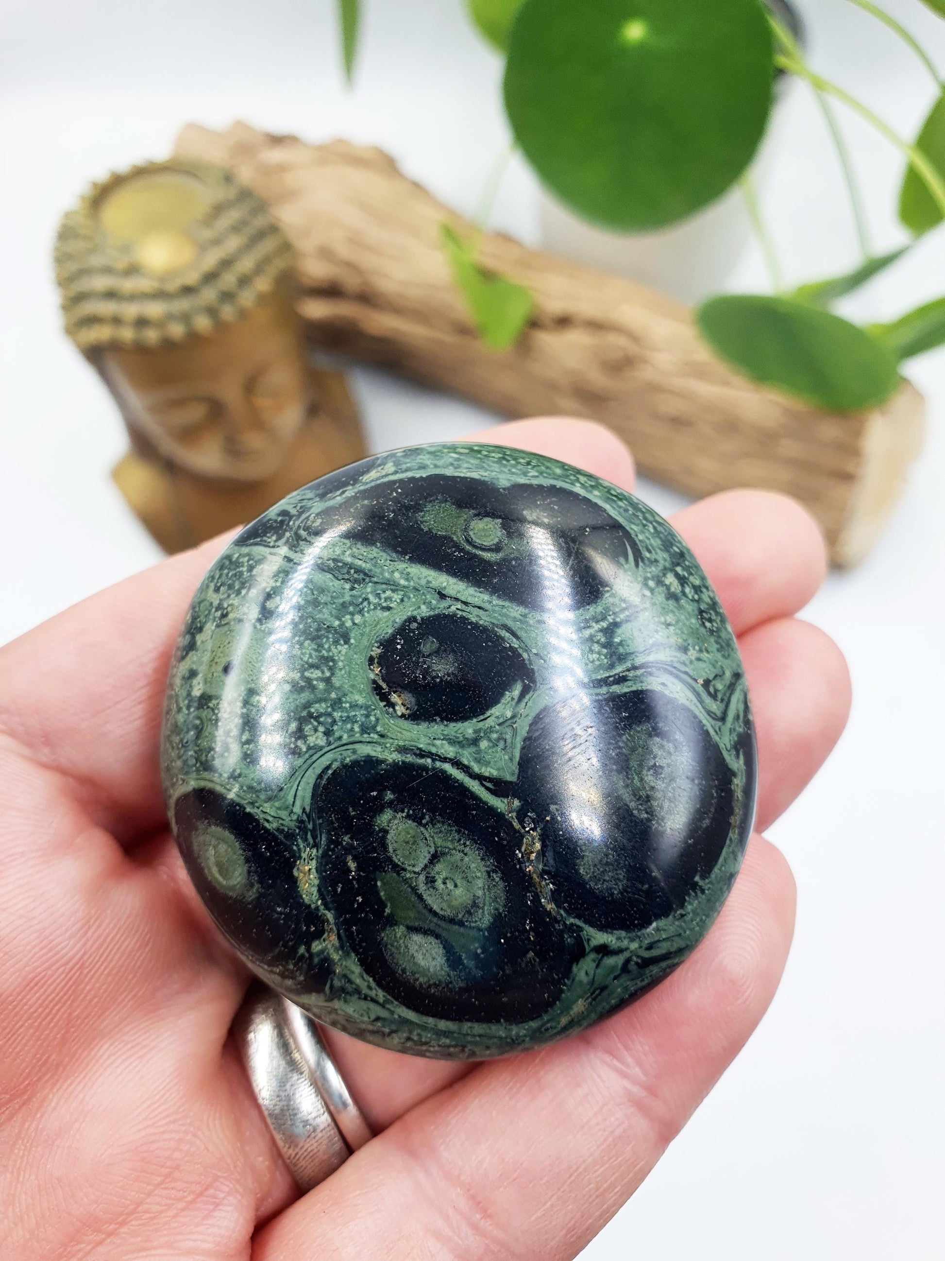 Kambaba Jasper Palm / Kambaba Palmstone / Meditation Palm / Reiki Crystal Palm - 90g