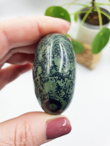 Beautiful Kambaba Jasper Palm / Kambaba Palmstone / Meditation Palm / Reiki Crystal Palm - 100g