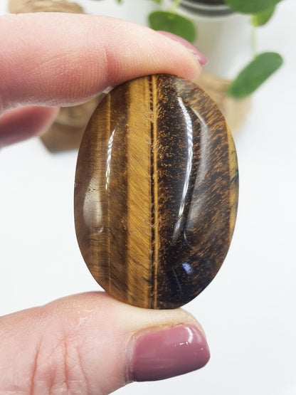 Flashy Yellow Tigers Eye Palm / Tiger's Eye Palm Stone / Pocket Crystal / Meditation Palm/ Reiki Crystal Palm - 50g