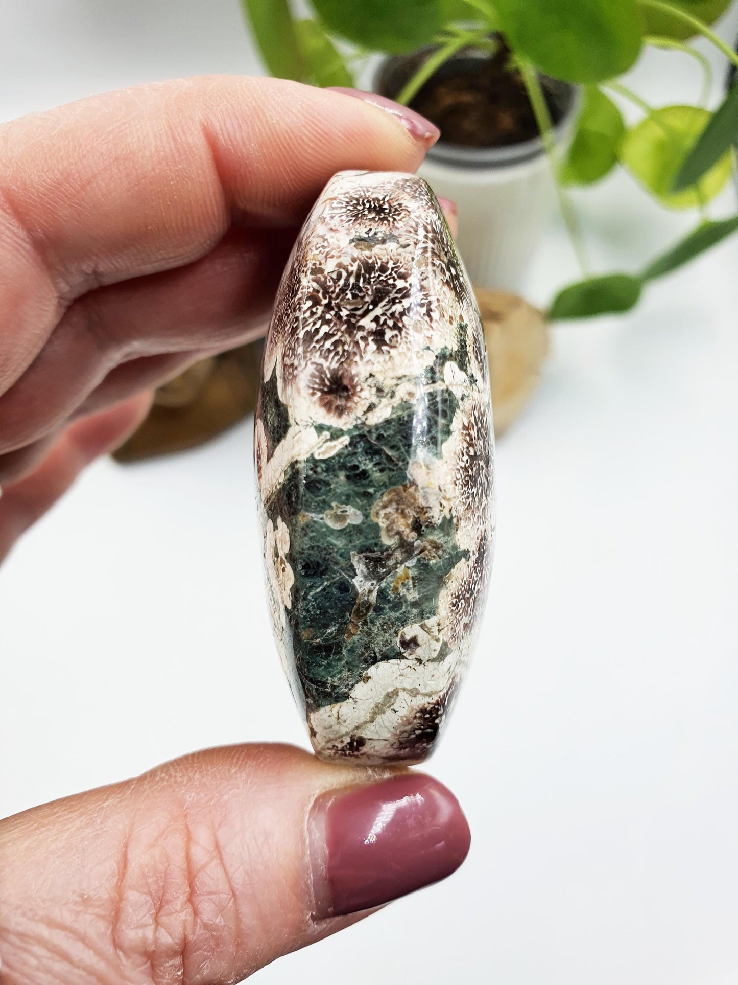 Large Firework (Flower) Agate Palm / Green Flower Agate Palm Stone / Meditation Palm / Reiki Crystal / Pocket Crystal - 95g