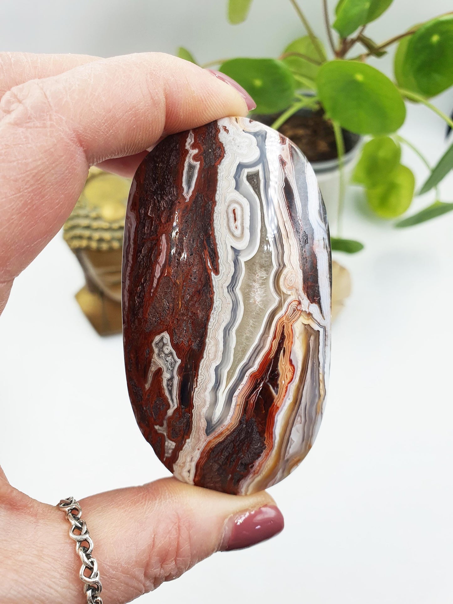 Large Beautiful Mexican Agate Palm / Crazy Lace Agate Palm Stone / Agate Palm / Meditation Palm - 140g