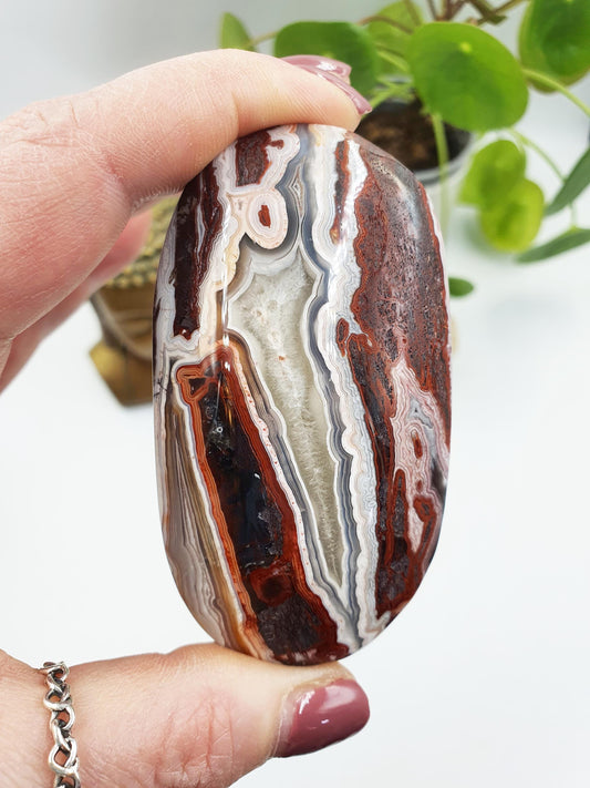 Large Beautiful Mexican Agate Palm / Crazy Lace Agate Palm Stone / Agate Palm / Meditation Palm - 140g