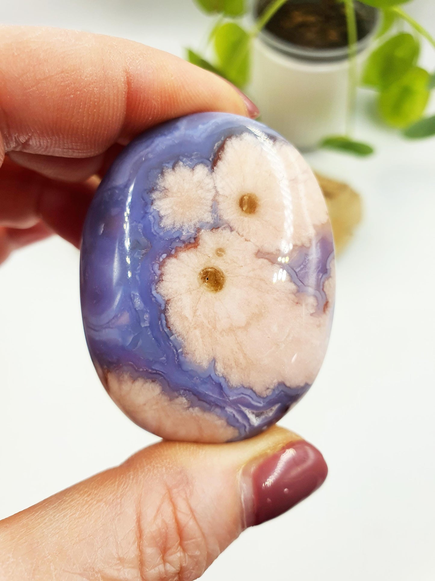 Cute Blue Flower Agate Drusy Palm / Sakura Agate Palm Stone / Blue Flower Agate Crystal / Meditation Palm - 60g