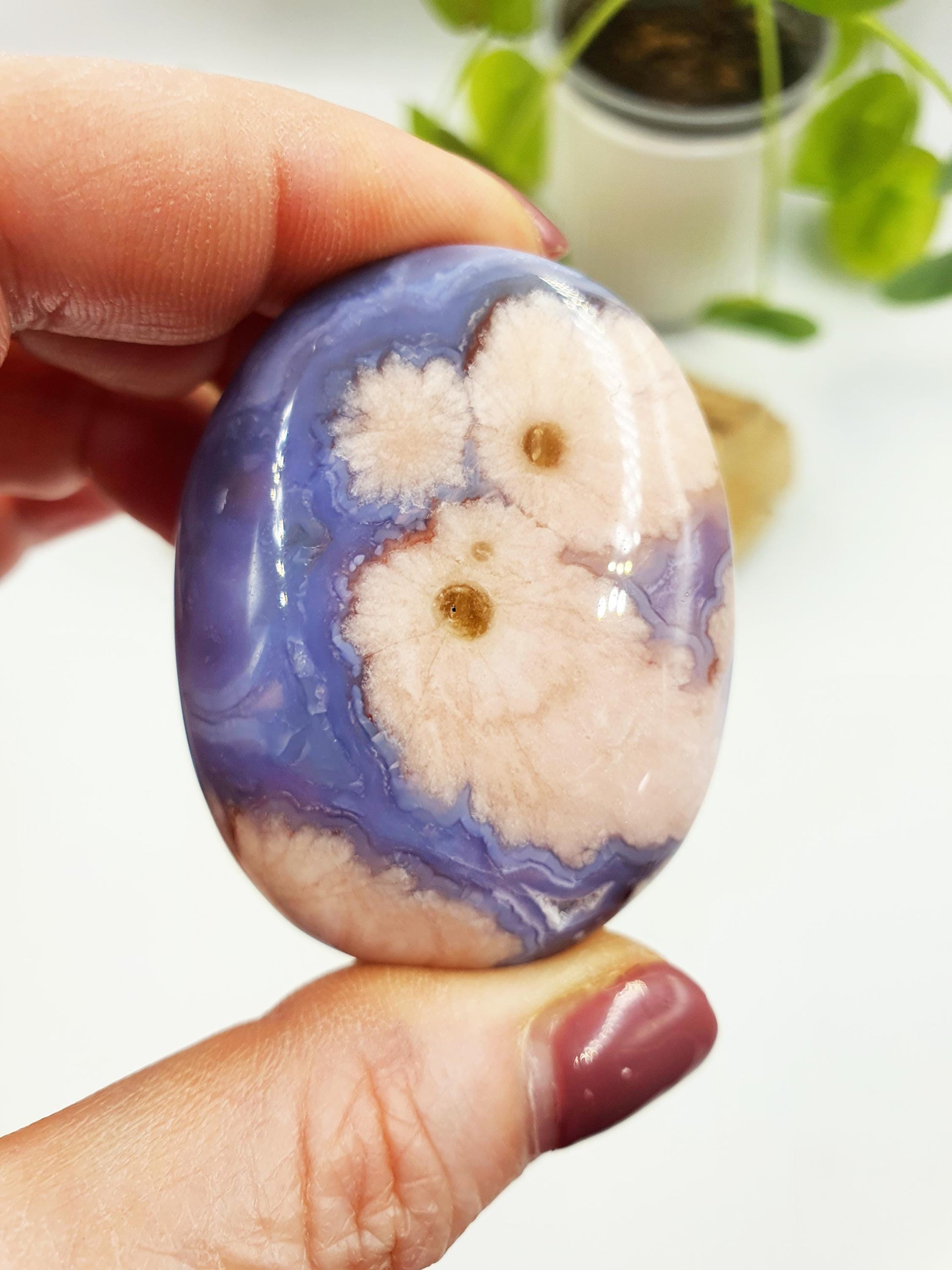 Cute Blue Flower Agate Drusy Palm / Sakura Agate Palm Stone / Blue Flower Agate Crystal / Meditation Palm - 60g